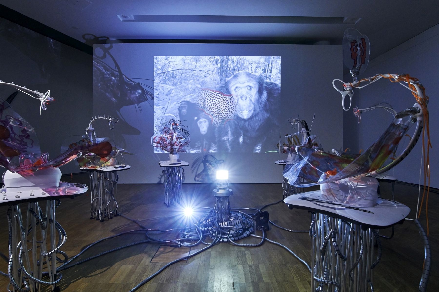Katja Novitskova, Installation view, If Only You Could See What I've Seen with Your Eyes. Stage 2, Kumu Art Museum, Tallinn, Estonia, 2018
