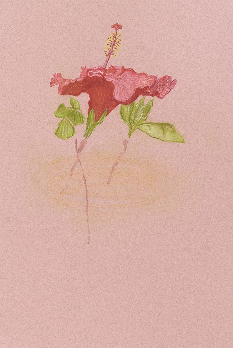 Mayo Thompson Hibiscus, 2015 Colored pencil on paper Paper: 18 x 12 inches (45.7 x 30.5 cm) Frame: 22 7/16 x 16 7/16 inches (57 x 41.8 cm)