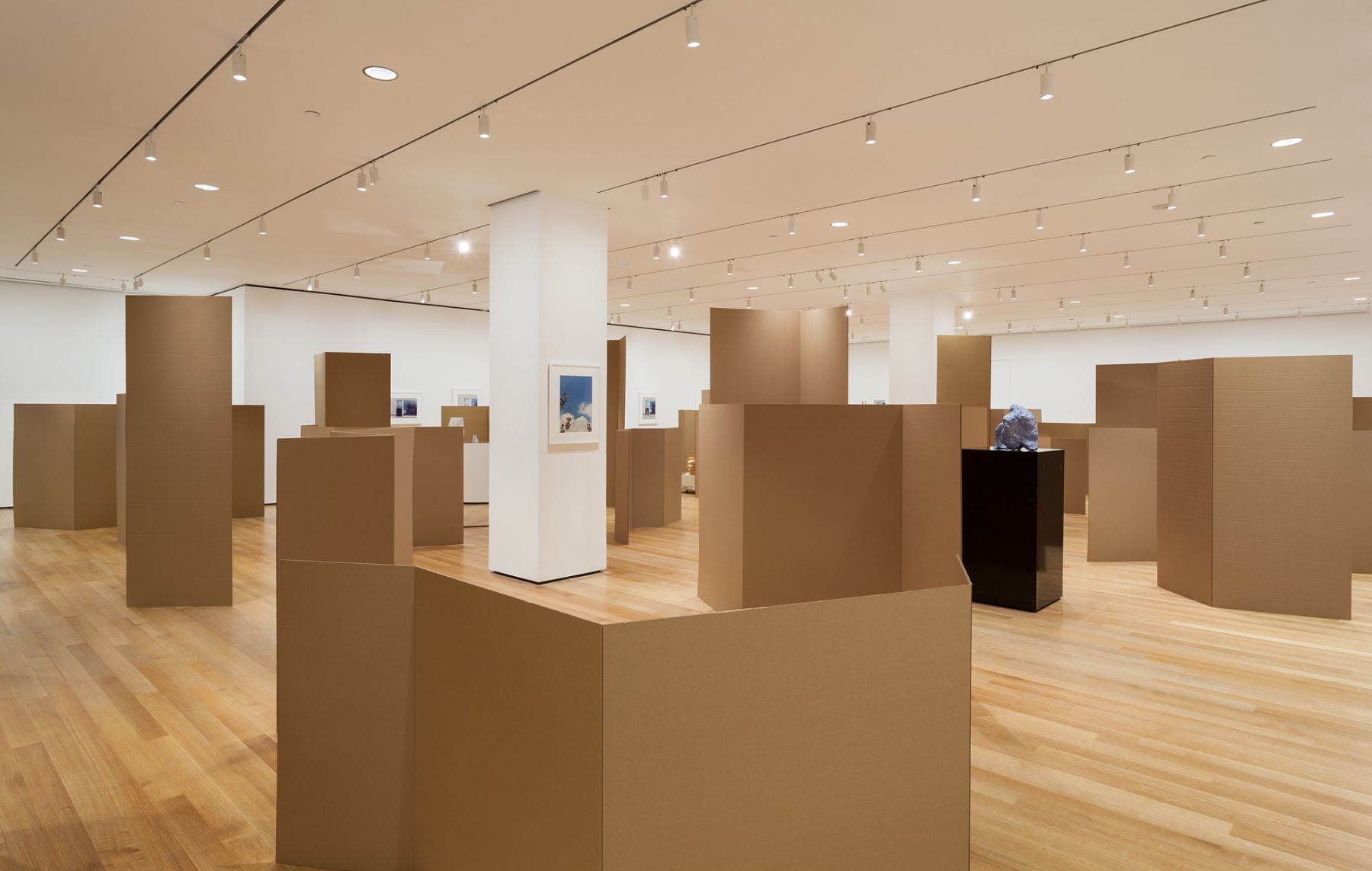 Installation view, Rachel Harrison: Perth Amboy, curated by Paulina Pobocha, Museum of Modern Art, New York, 2016