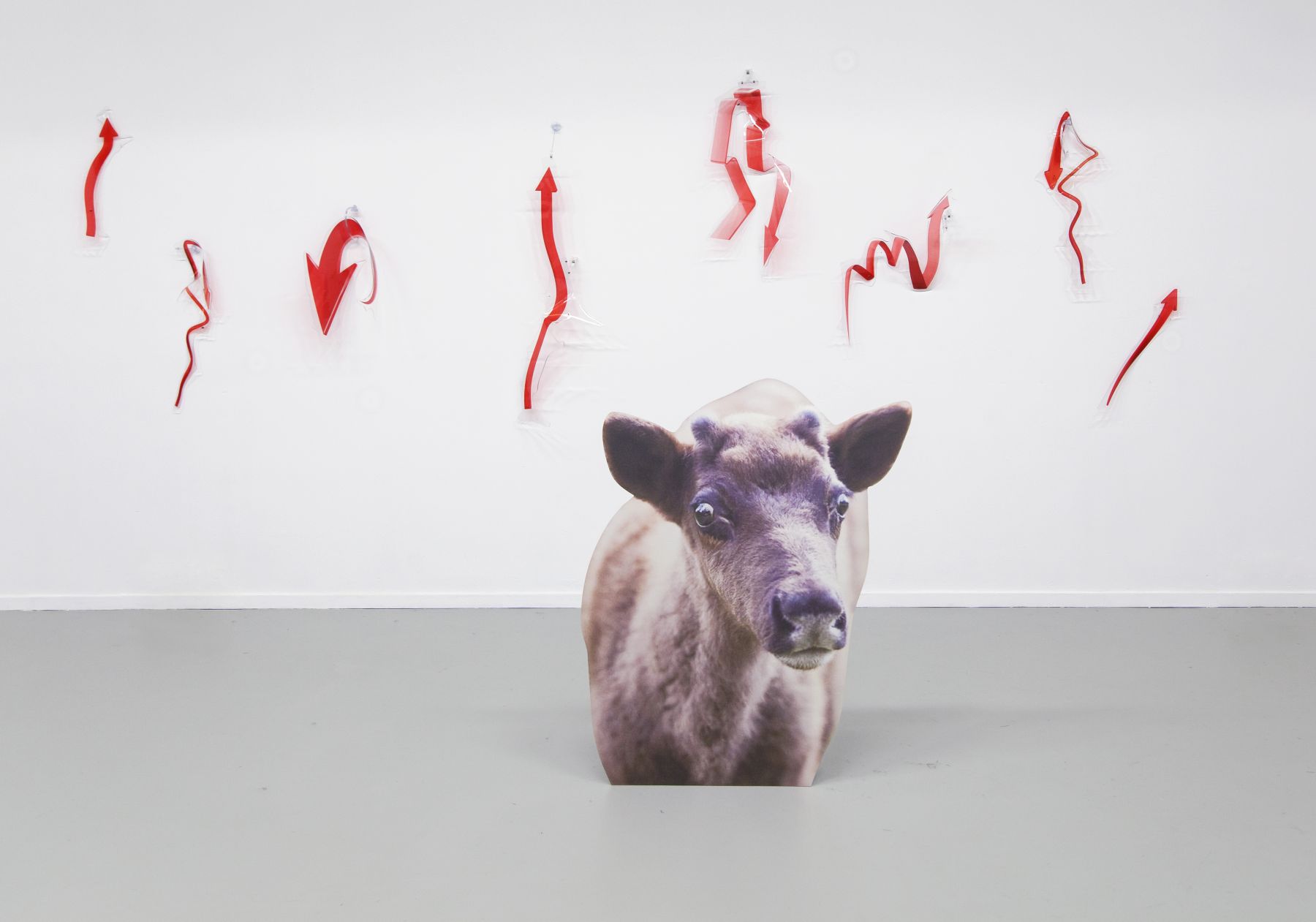 Katja Novitskova, Installation view, The Hunt, open studios at the Rijksakademie van beeldende kunsten, Amsterdam, 2013
