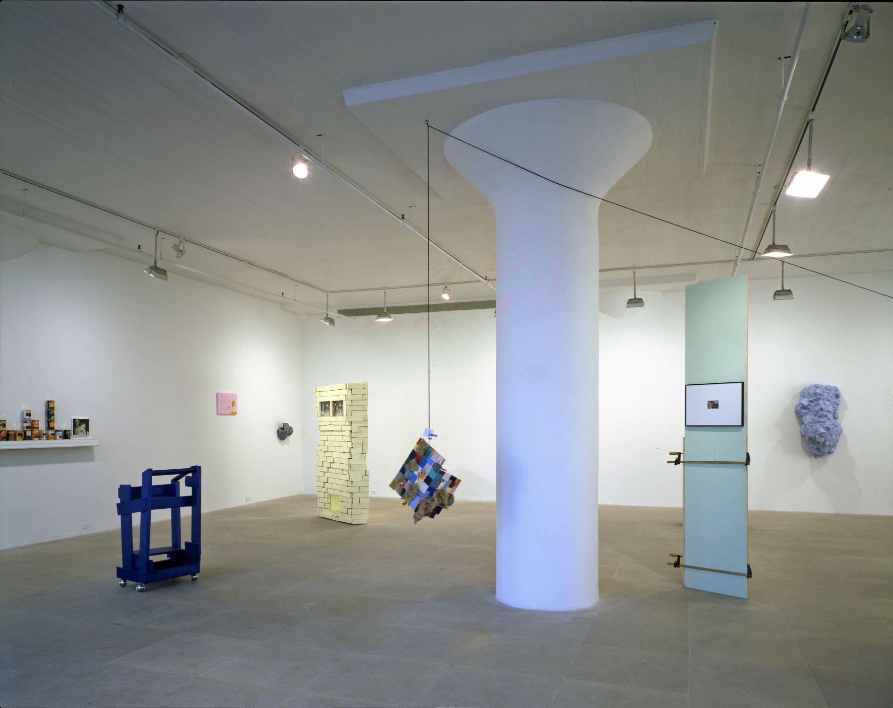 Installation view, Rachel Harrison, Greene Naftali, New York, 1997