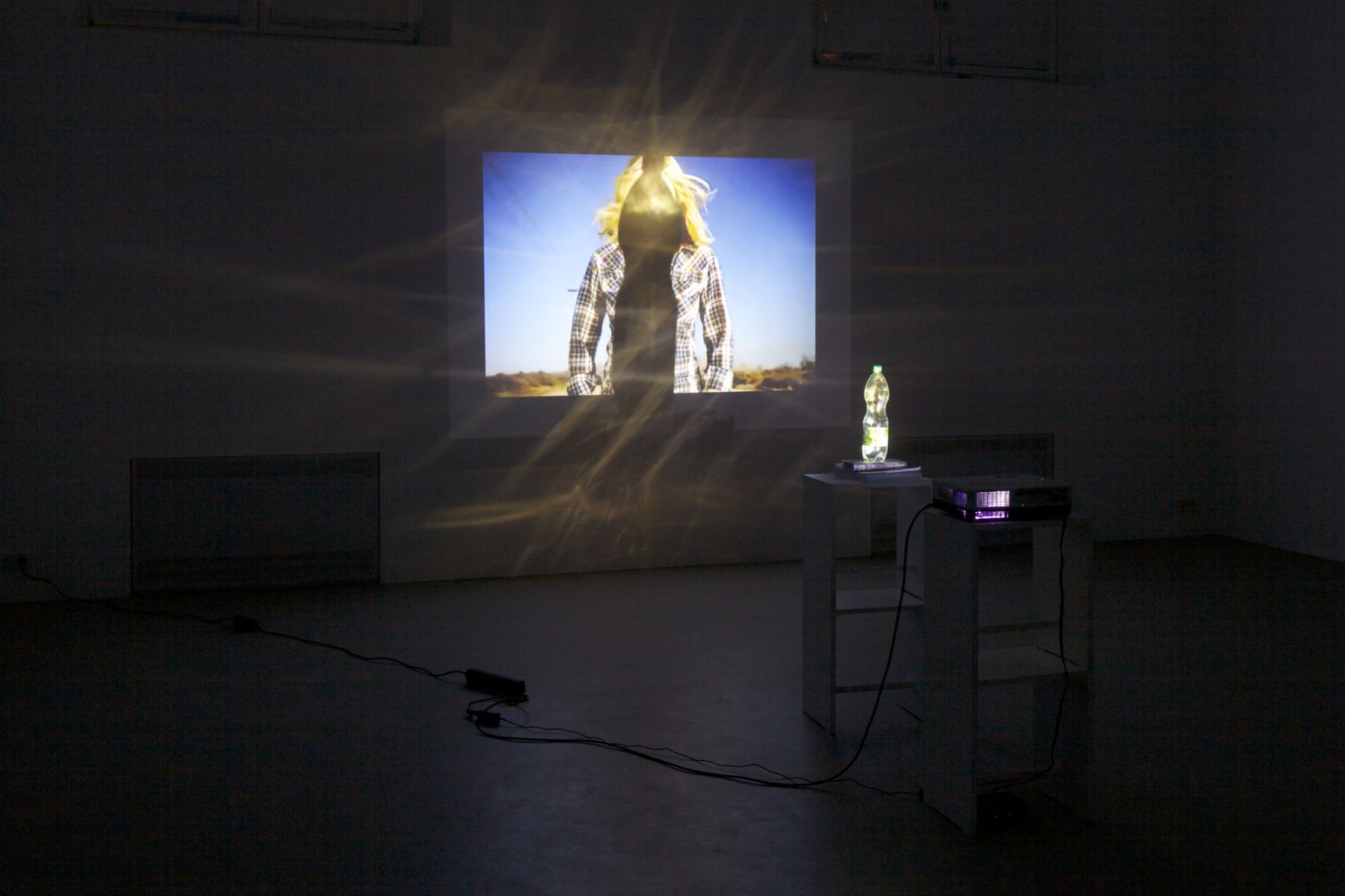 Trisha Baga, Body of Evidence, 2012