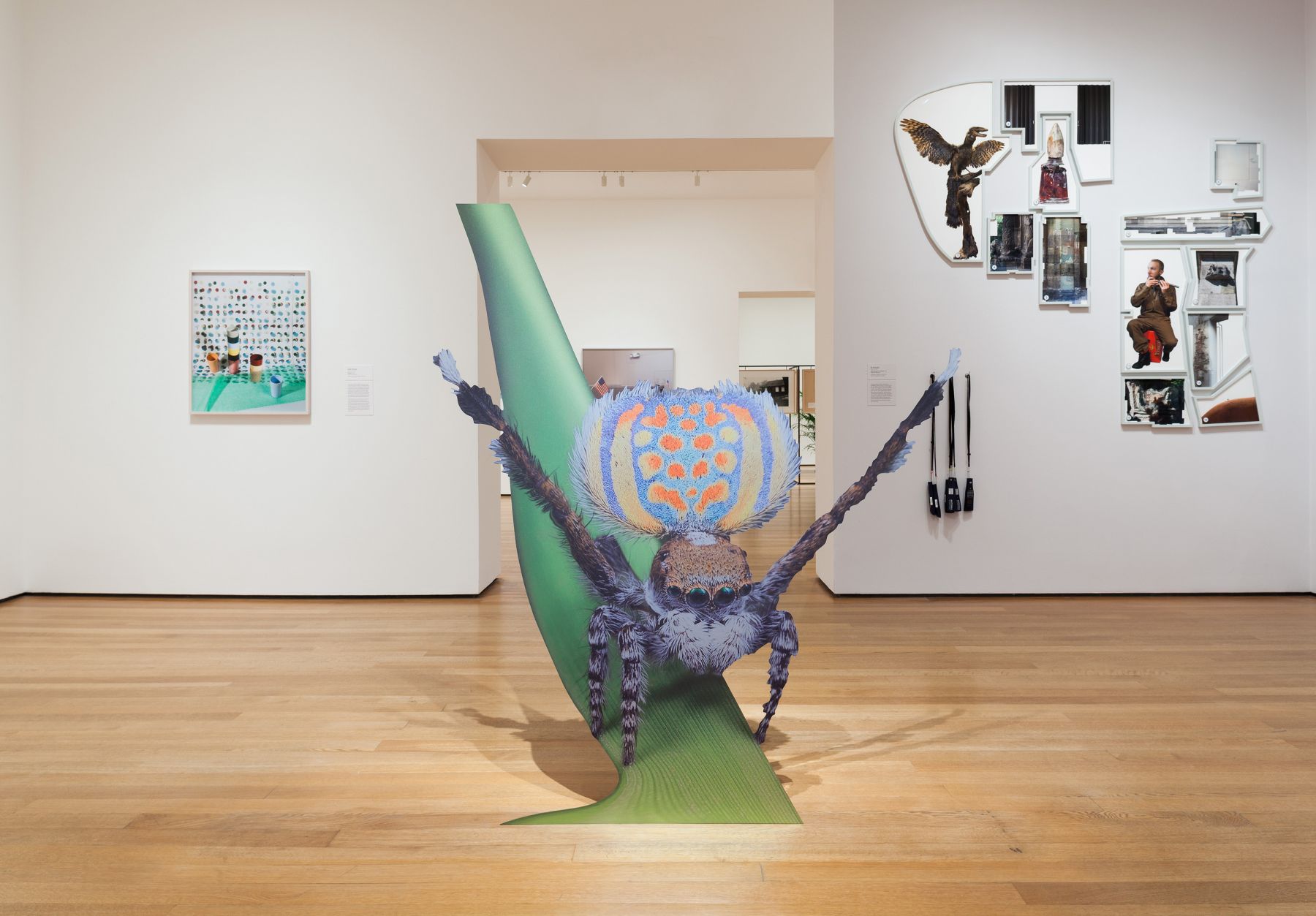 Katja Novitskova, Installation view, Ocean of Images: New Photography 2015, MoMA, New York, 2015