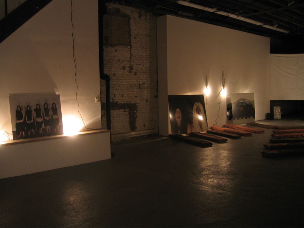 Fia Backström, In Memory of HERD INSTINCT 360º, Greene Naftali, New York, 2006