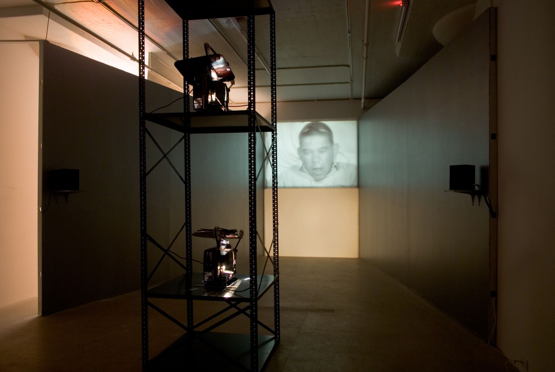 Installation view, Epileptic Seizure Comparison, Greene Naftali, New York, 2007