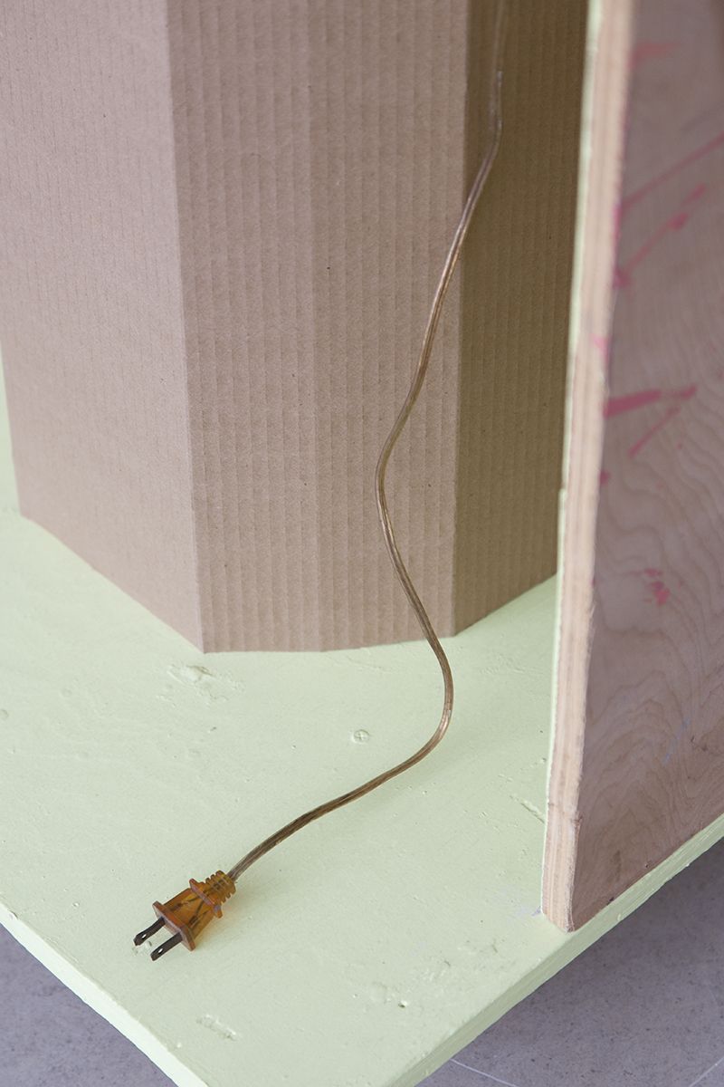 Rachel Harrison, The Fourth Shade, 2000 (detail)