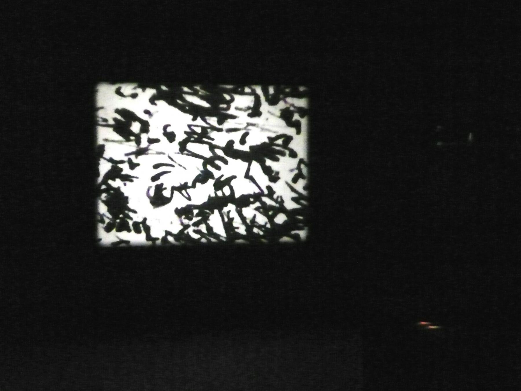My Frontier is an Endless Wall of Points (after the mescaline drawings of Henri Michaux), 2007, 16mm black and white film, 10:24 minutes, continuous loop, Installation view, Greene Naftali, New York, 2010