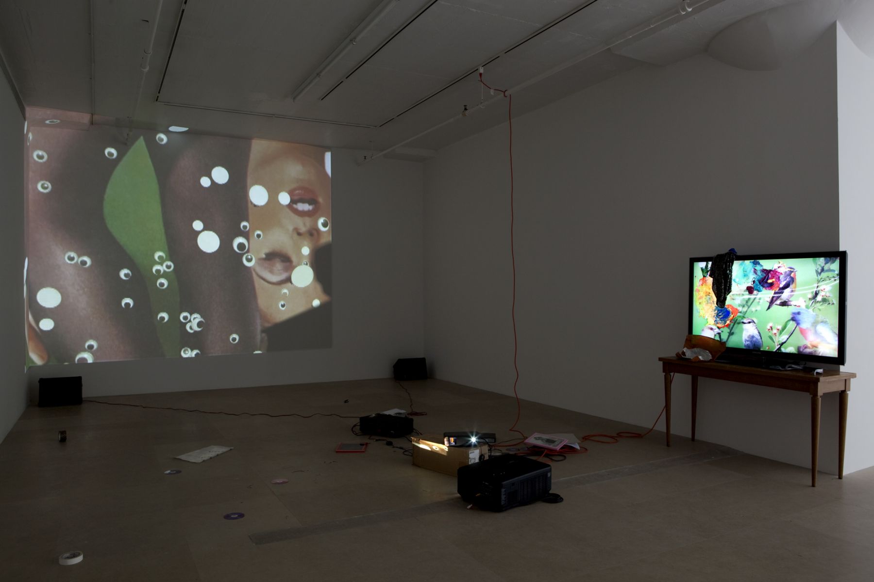 Trisha Baga, Peacock, 2011