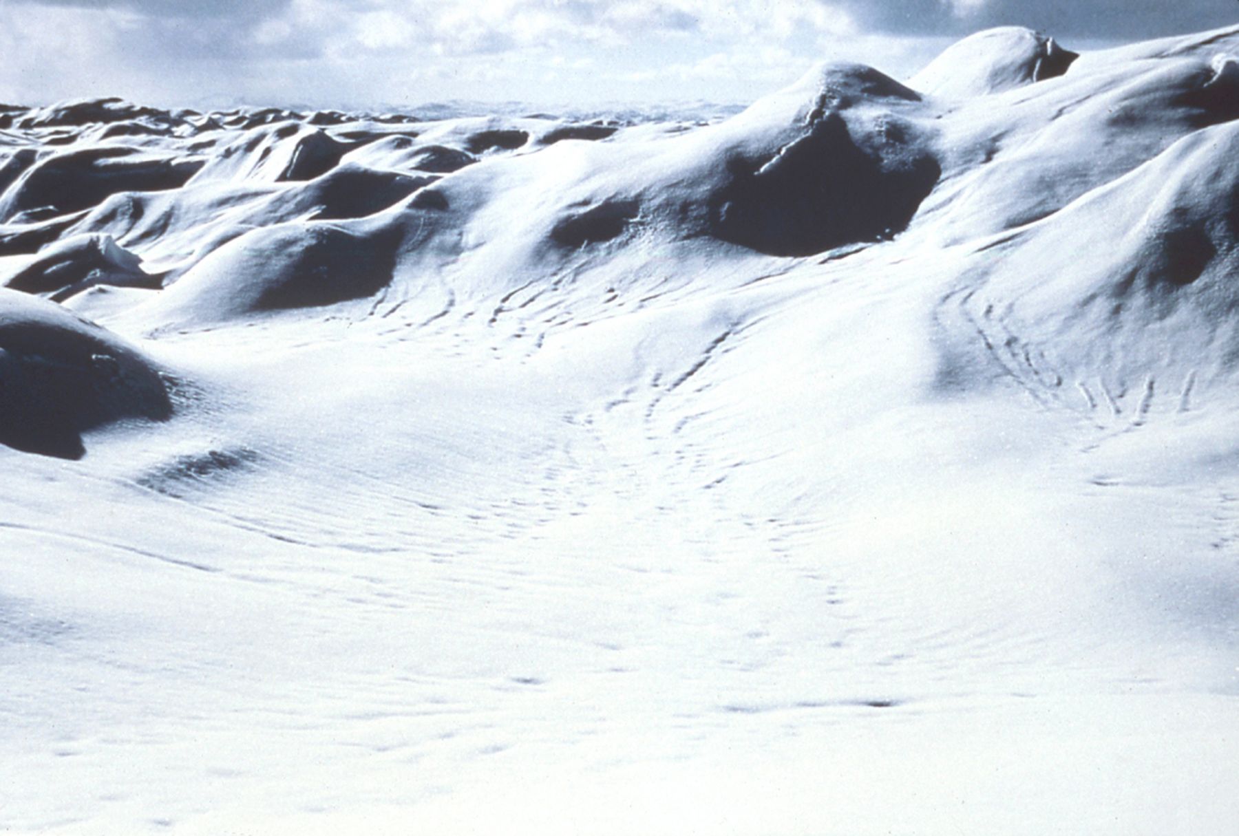 Nordenskiold & the Icecap, 1999-2000