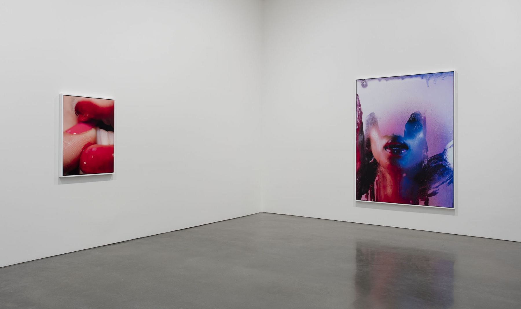 Marilyn Minter