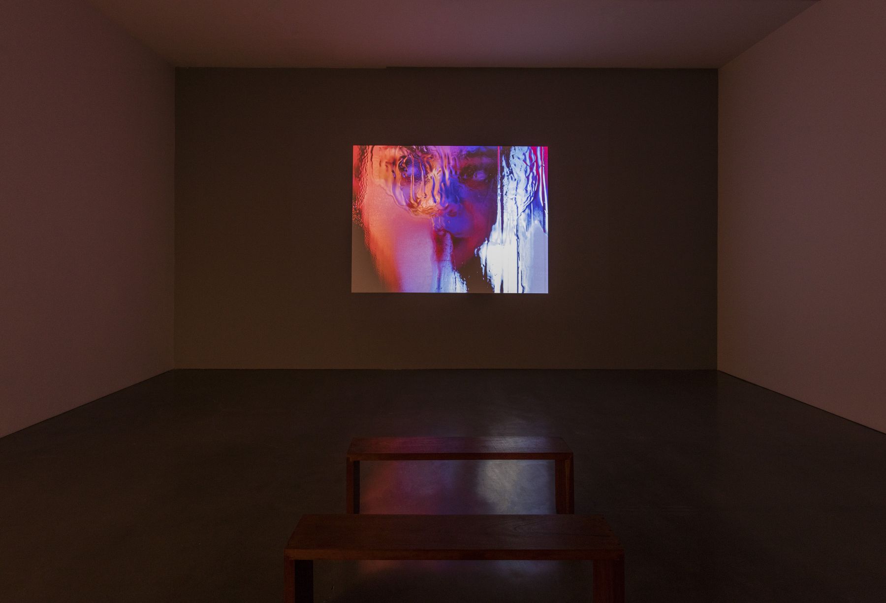 Marilyn Minter