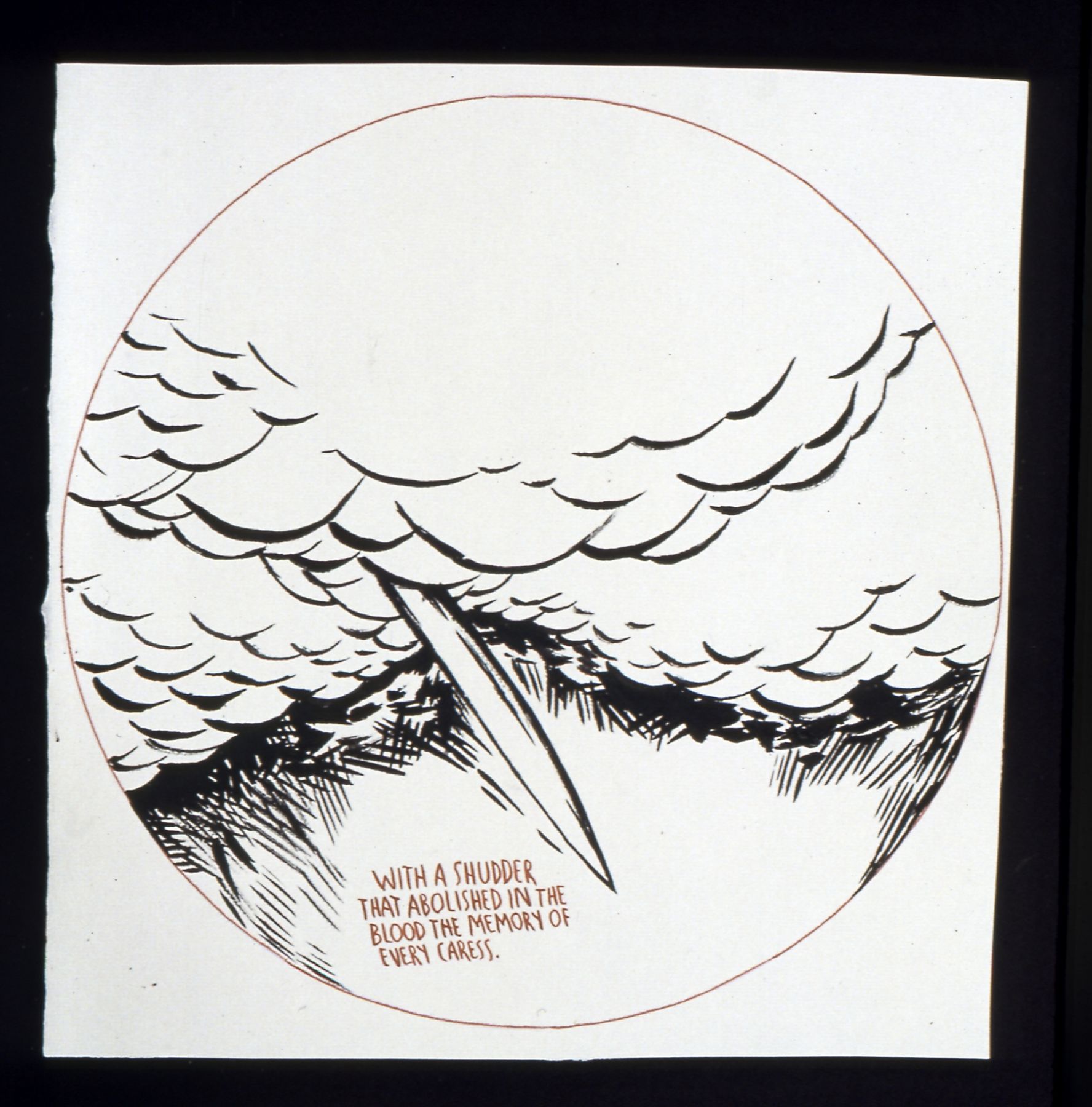 Raymond Pettibon