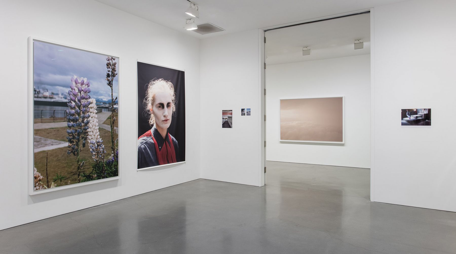 Wolfgang Tillmans