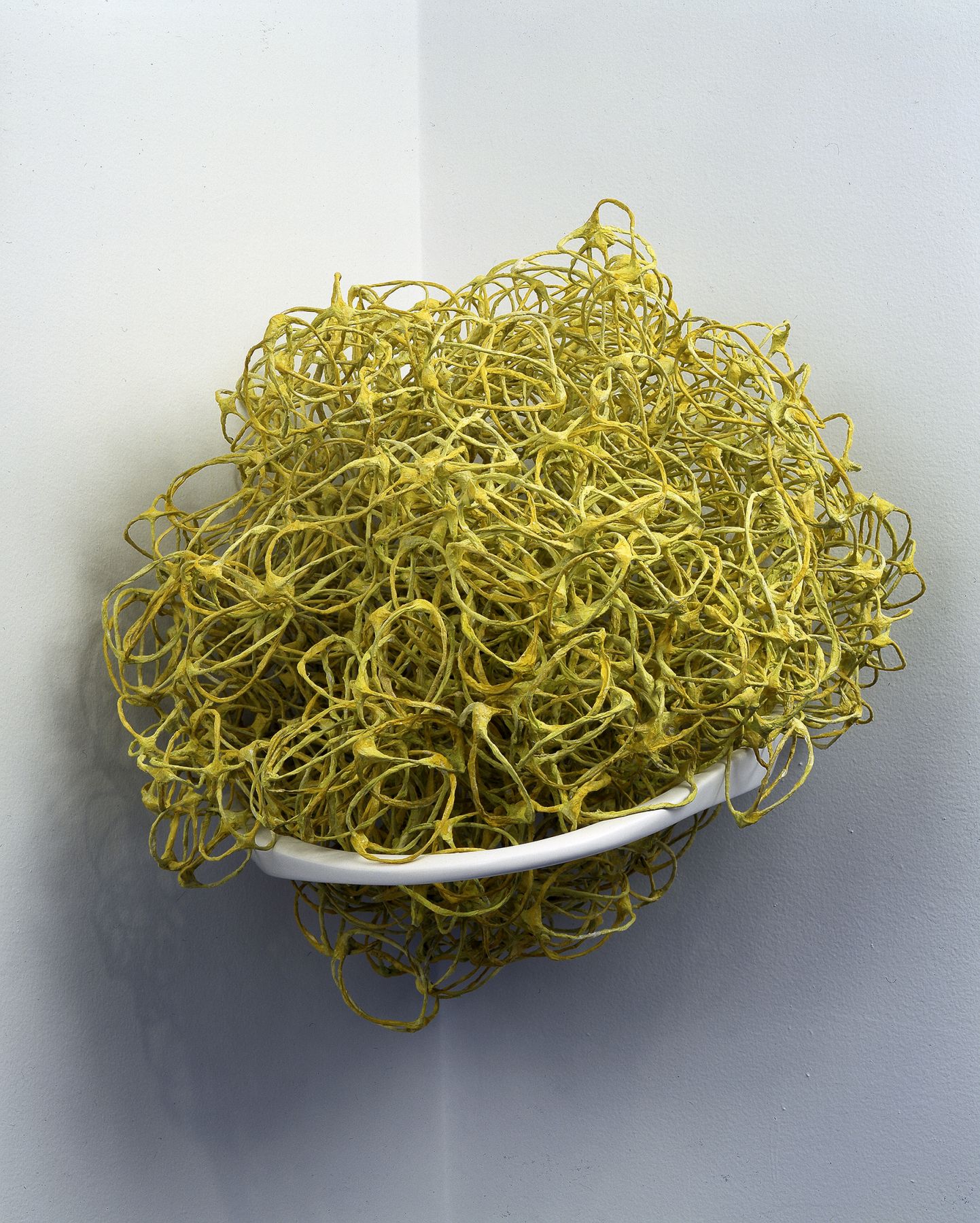 Liz Larner, Devex Yellow