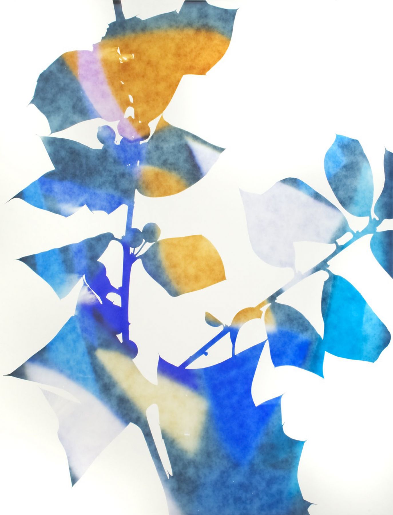 James Welling