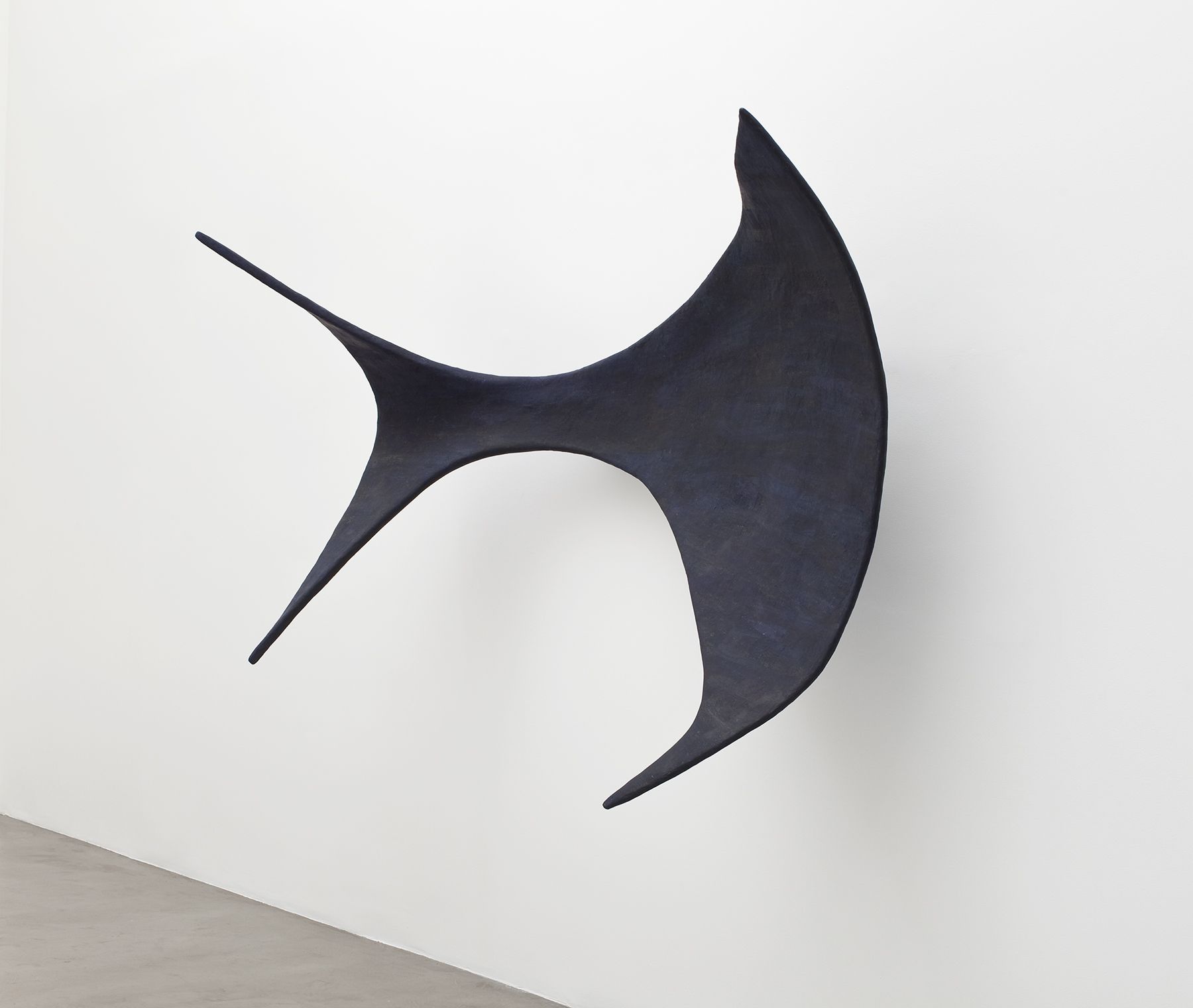 Liz Larner, planchette
