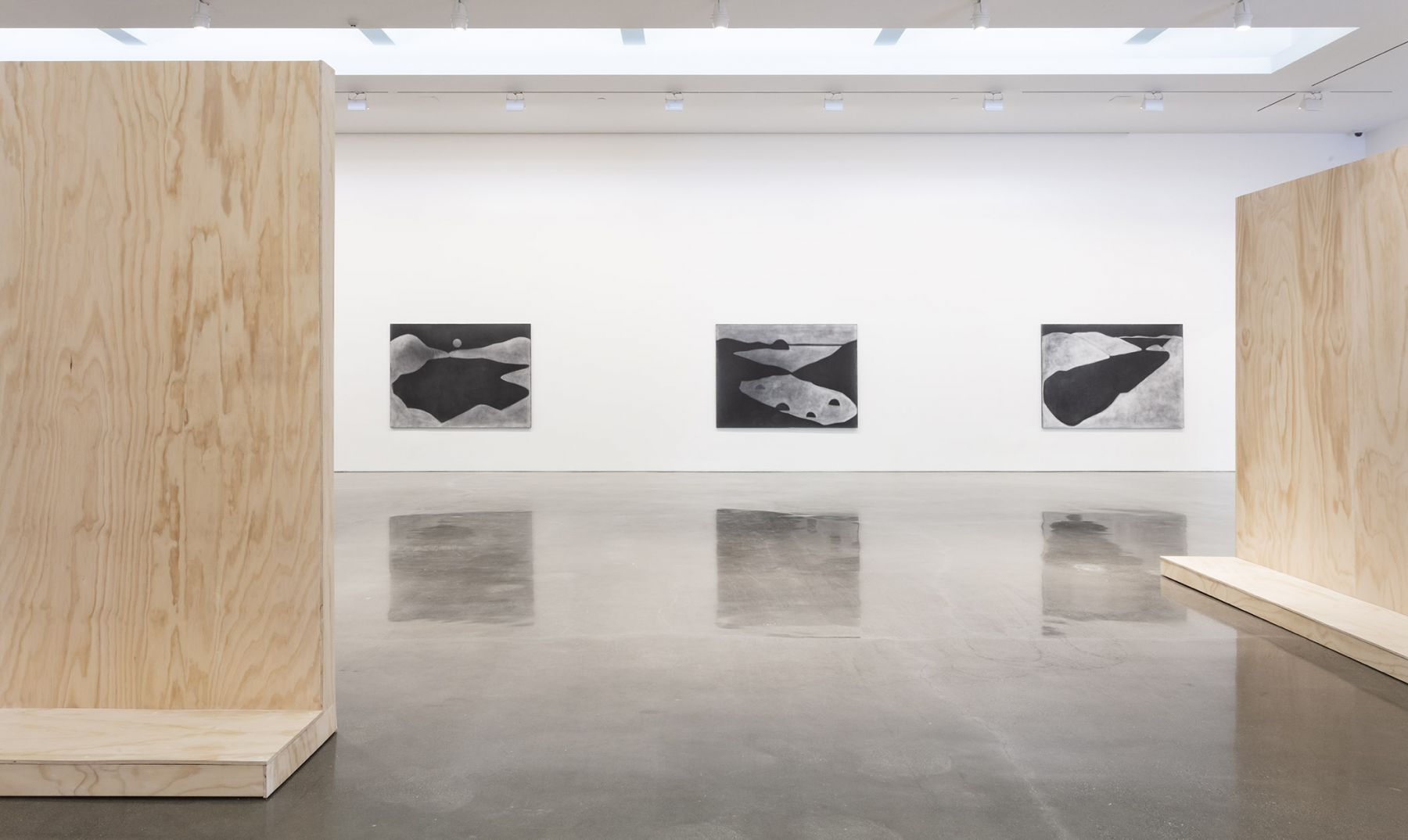 Silke Otto-Knapp - Land and Sea