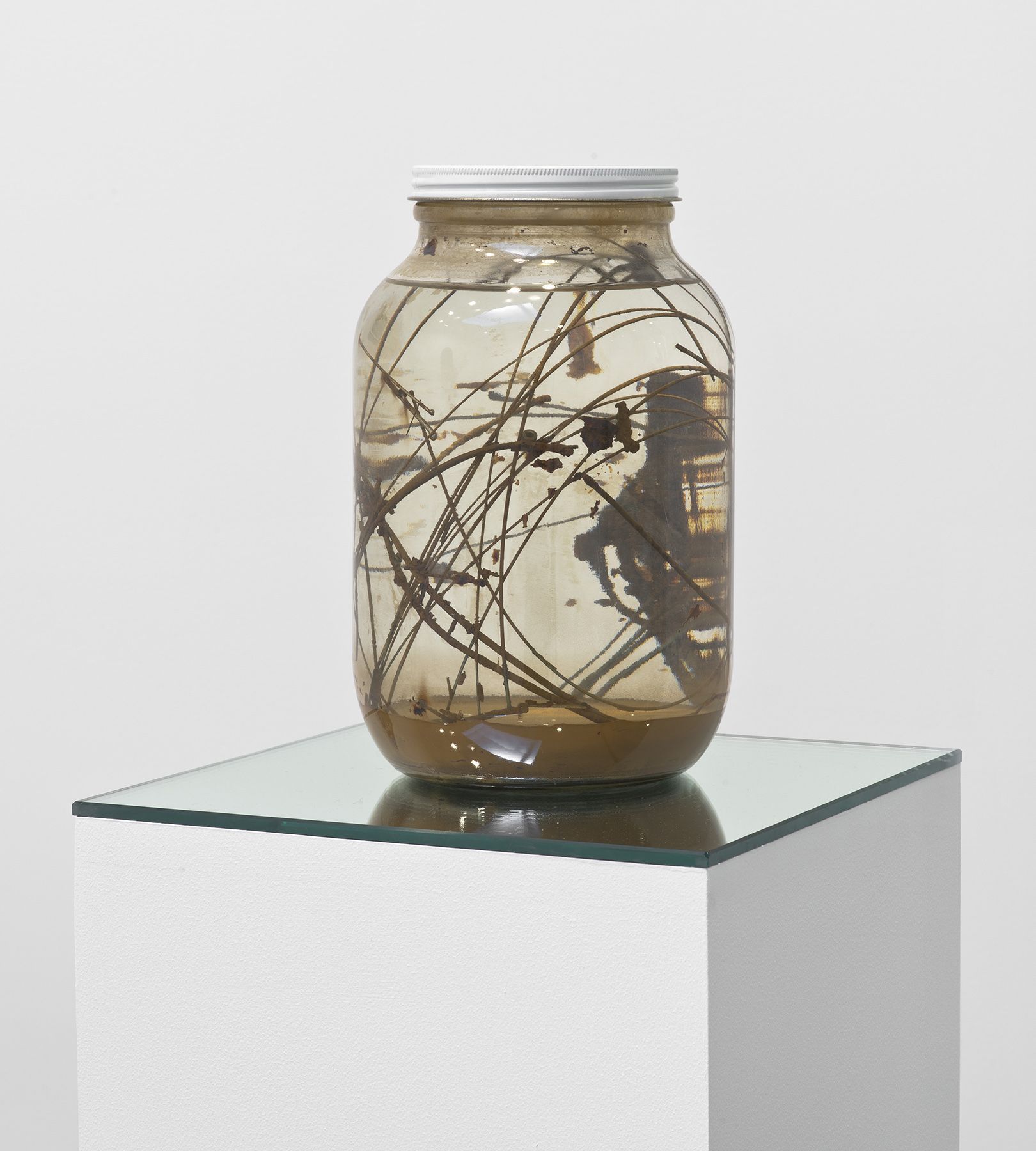 Liz Larner