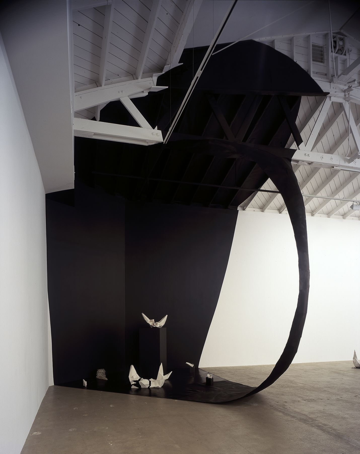 Liz Larner, Her Diamond Deserts