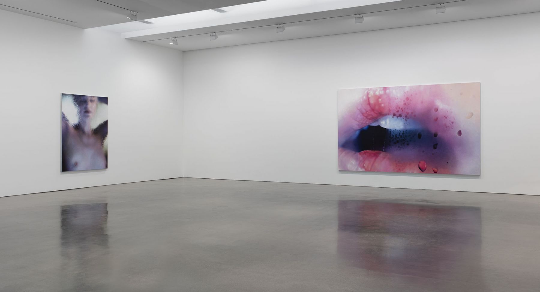 Marilyn Minter