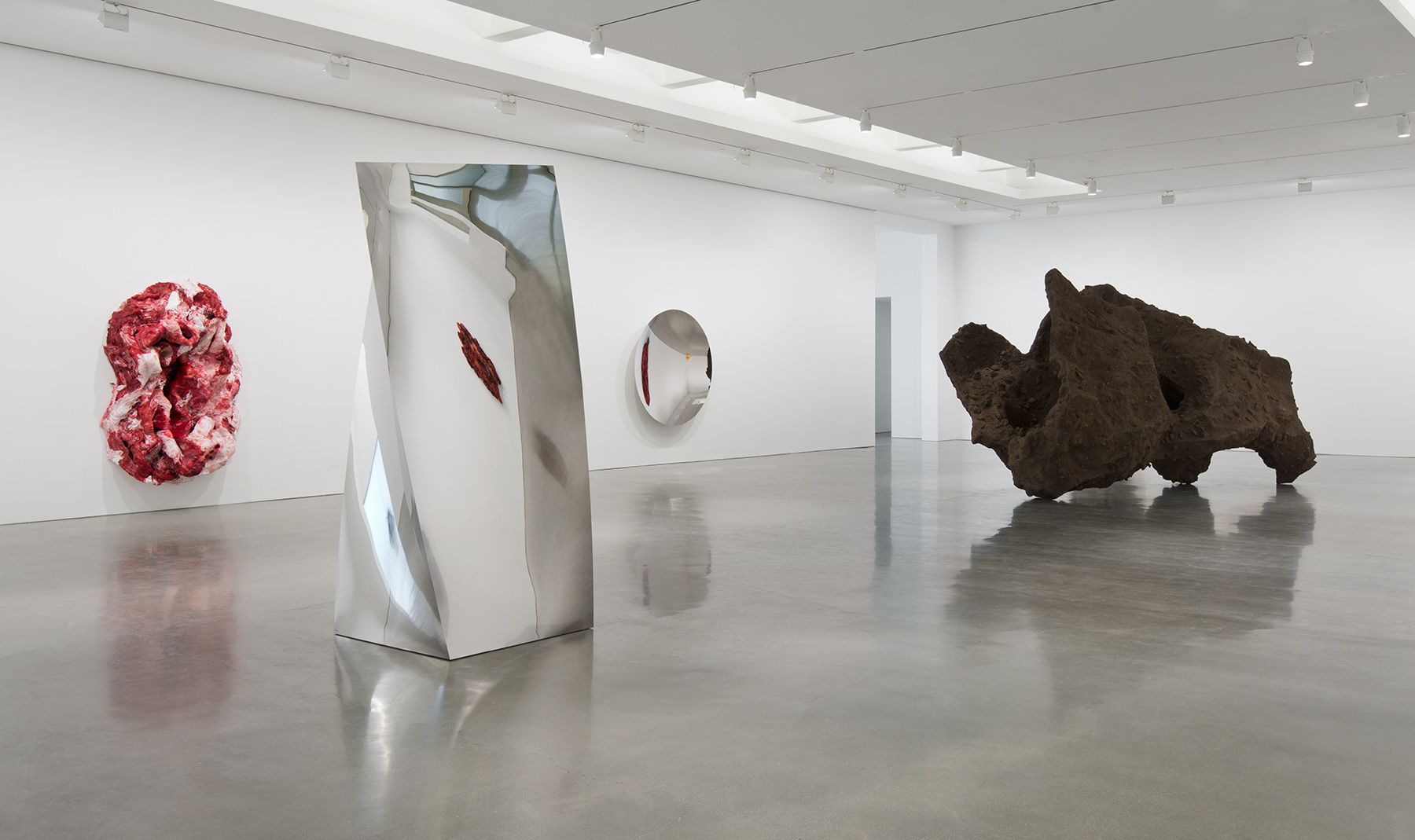 Anish Kapoor
