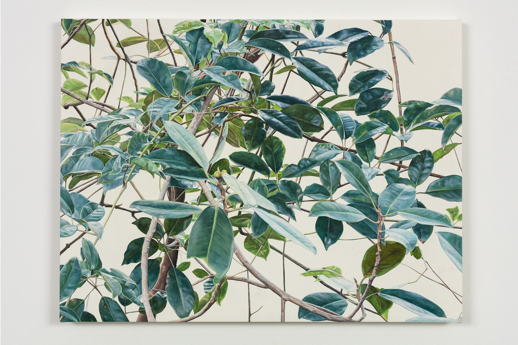 Toba Khedoori - leaves/branches