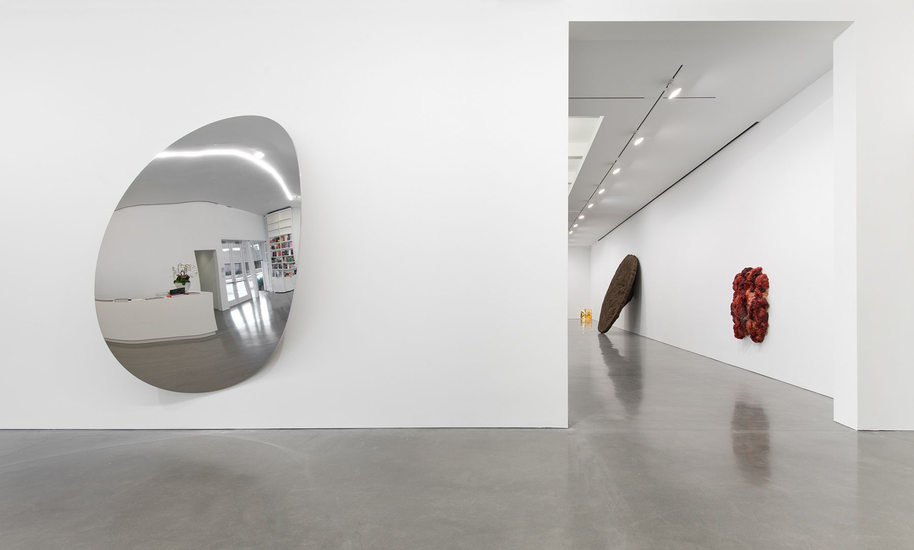Anish Kapoor