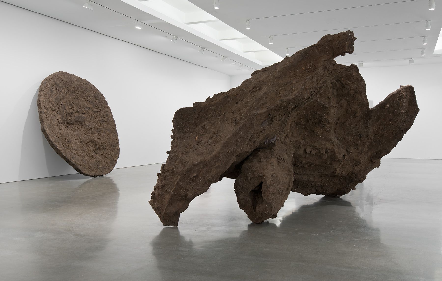 Anish Kapoor