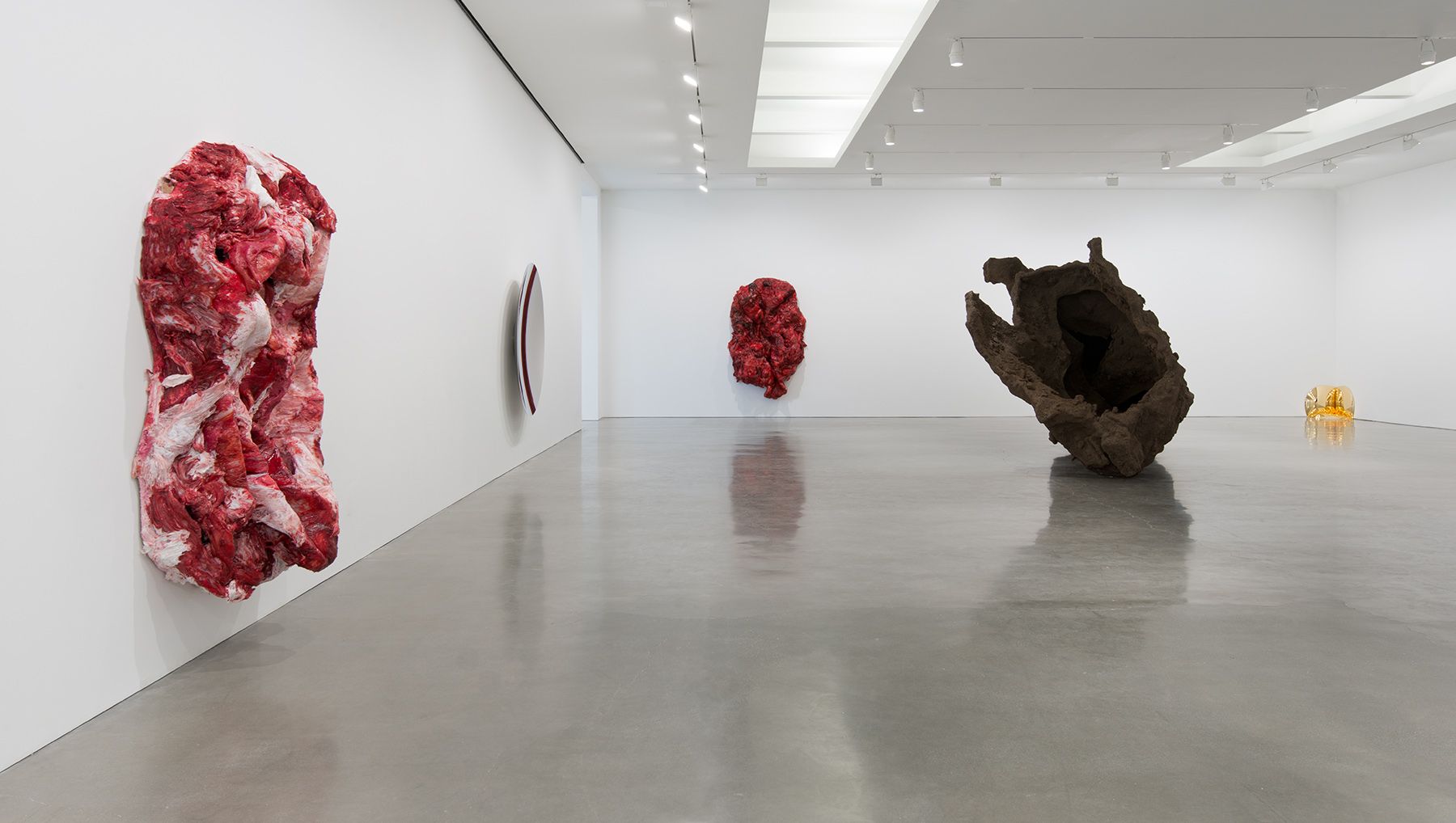 Anish Kapoor