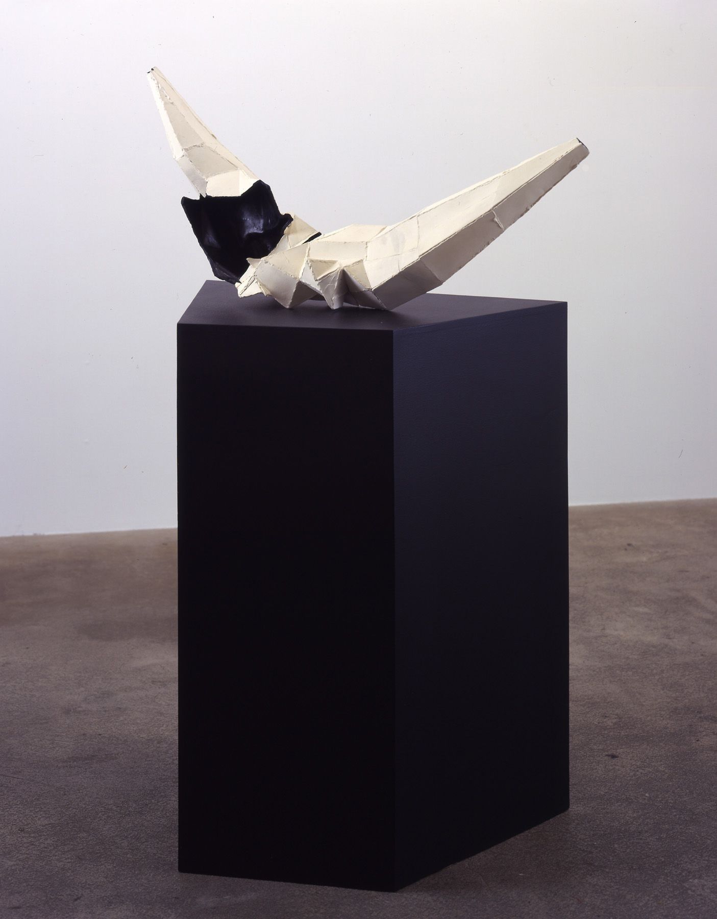 Liz Larner, Smile