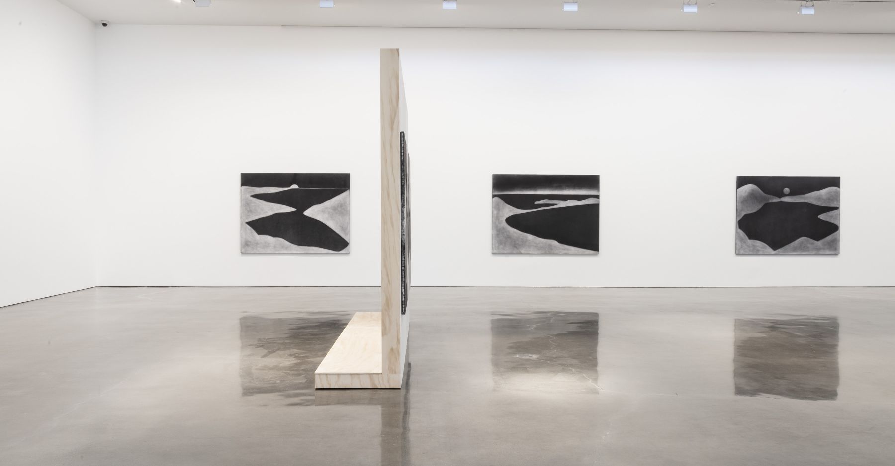 Silke Otto-Knapp - Land and Sea