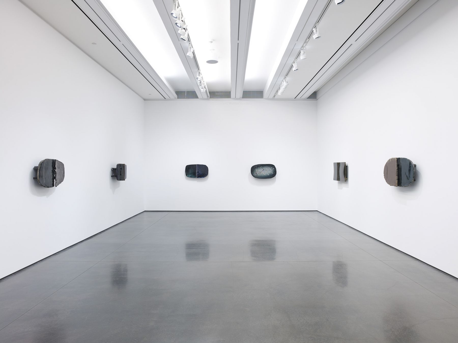 Liz Larner - Aspen Art Museum