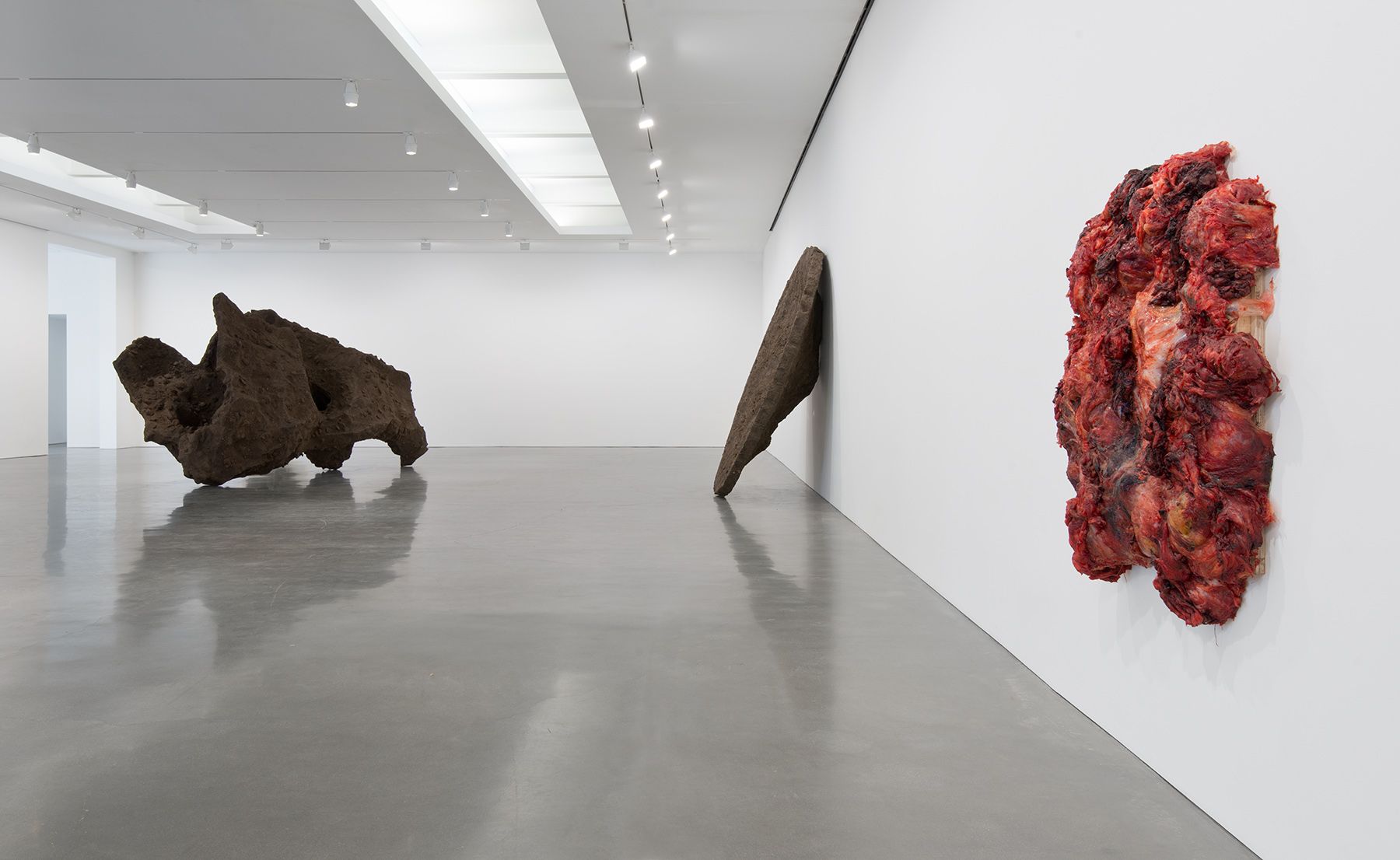 Anish Kapoor