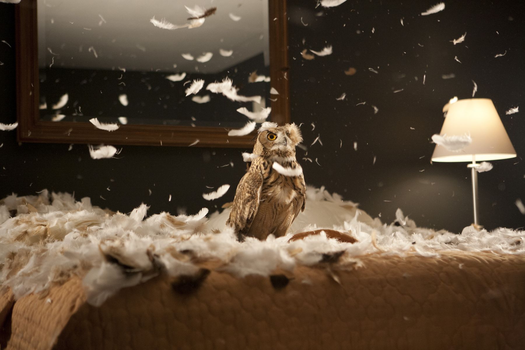 Doug Aitken - migration