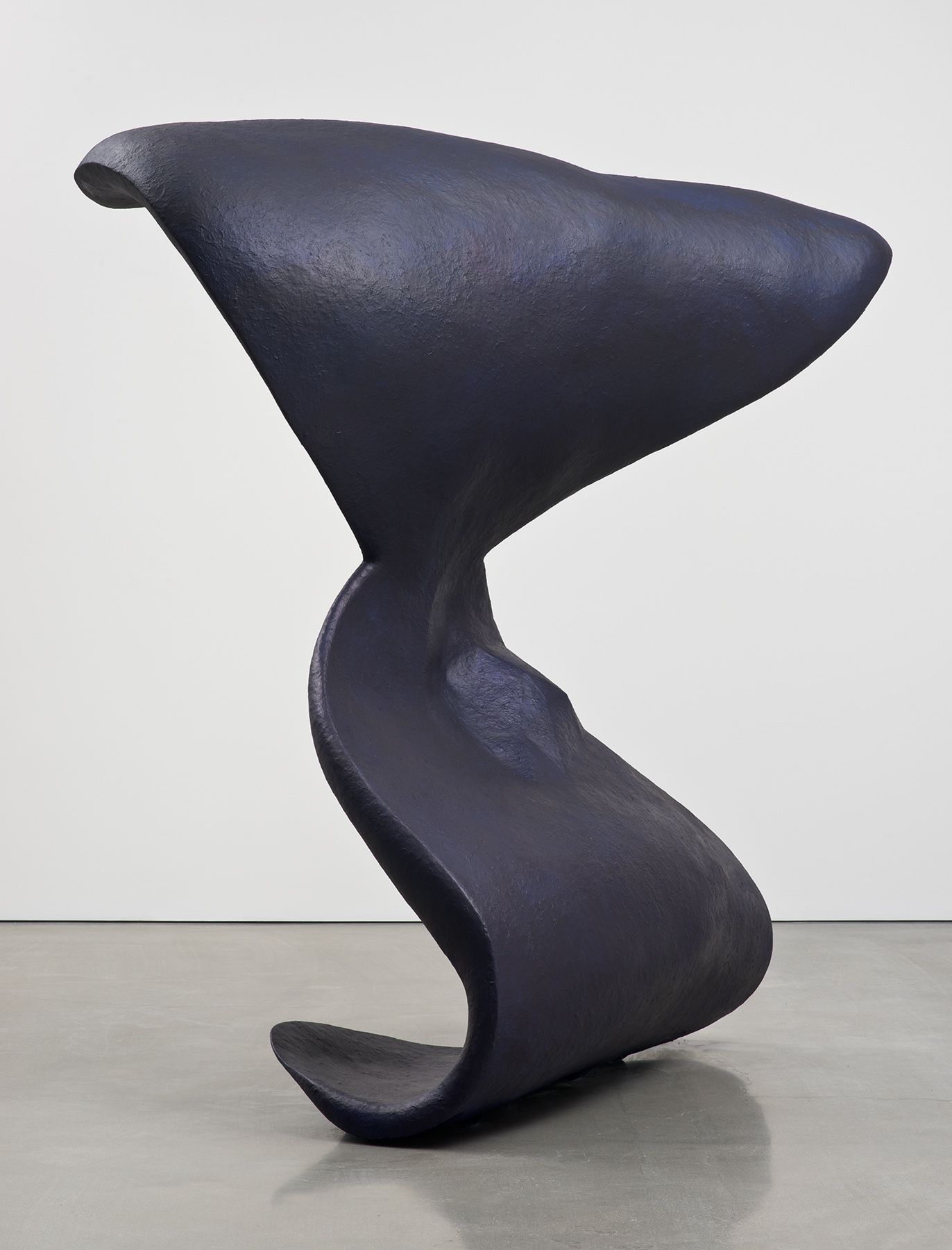 Liz Larner
