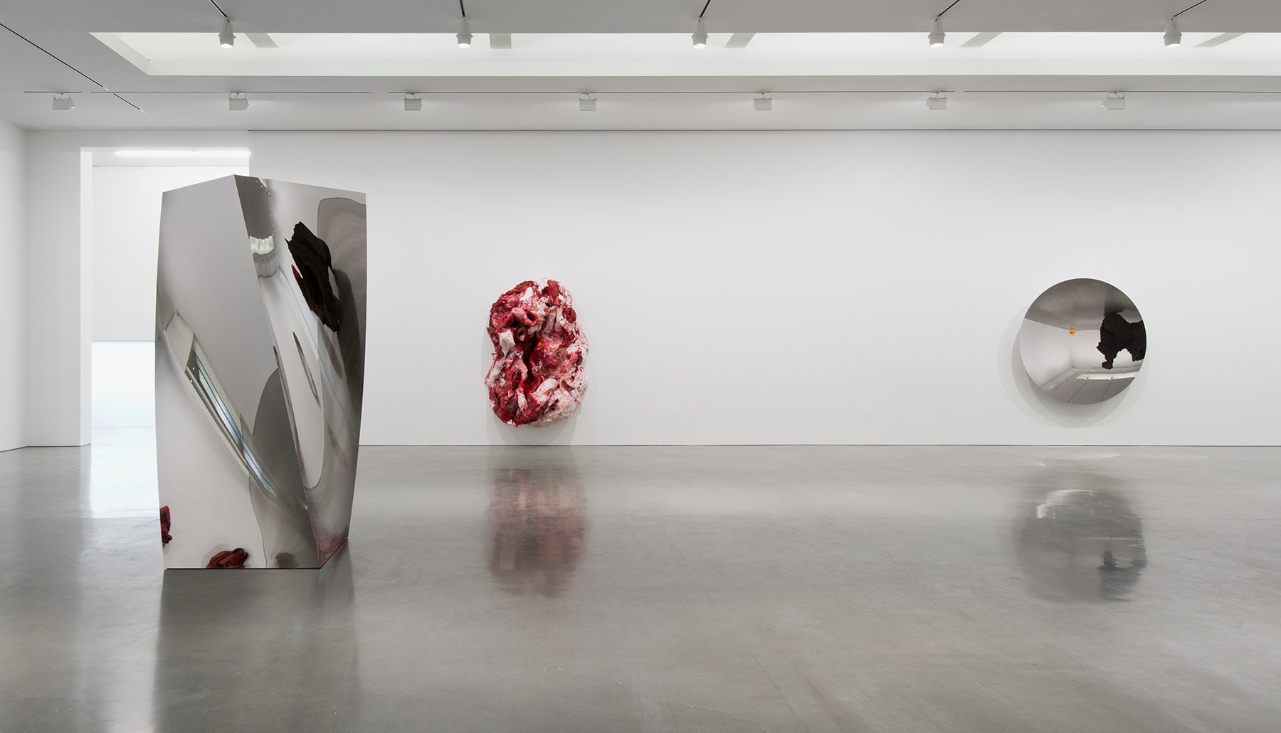 Anish Kapoor
