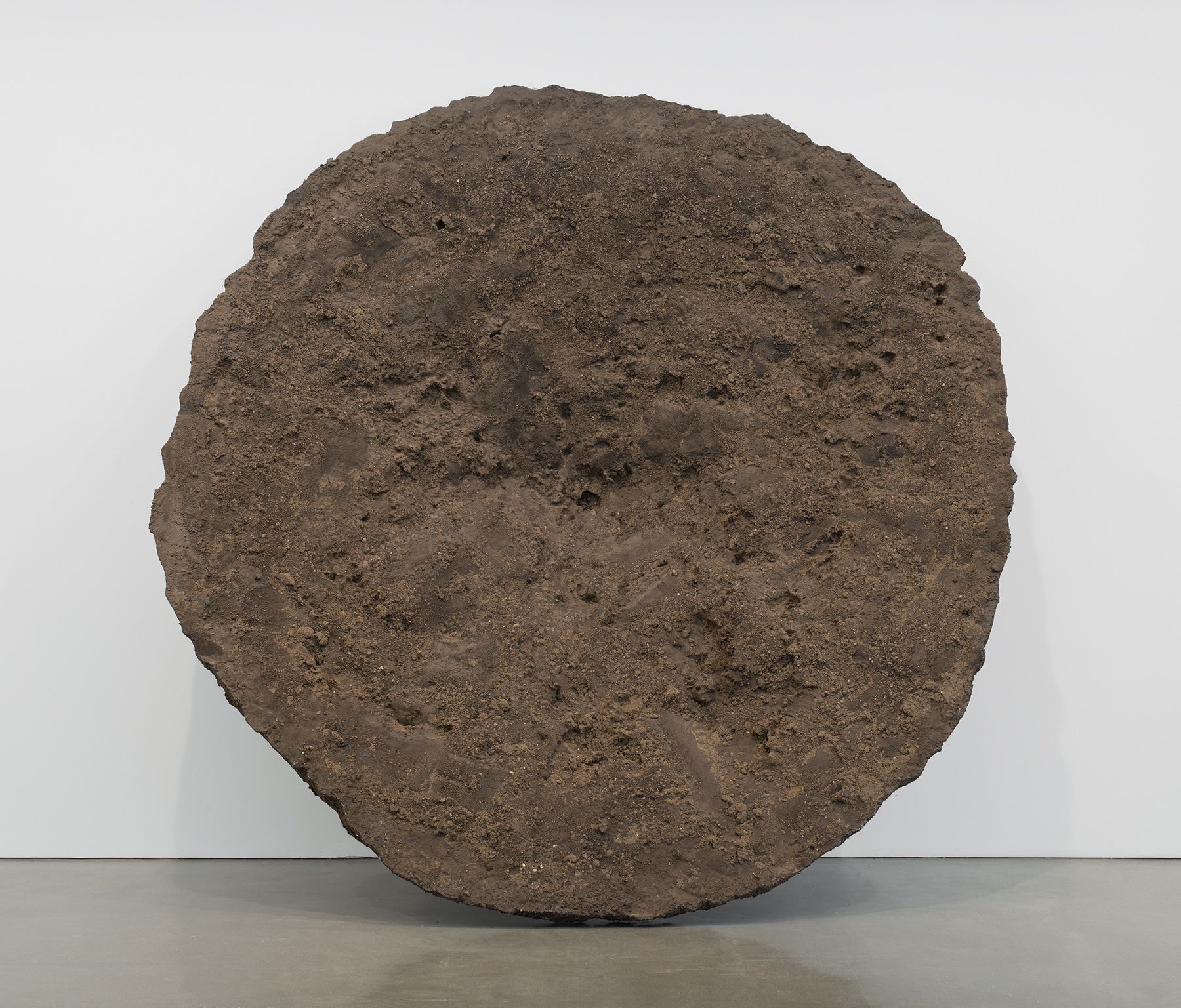Anish Kapoor - Tunneling Shadow