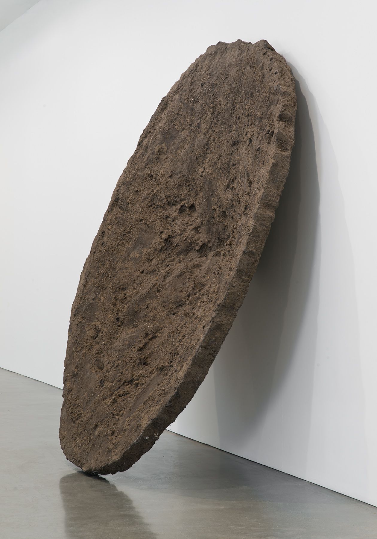 Anish Kapoor - Tunneling Shadow