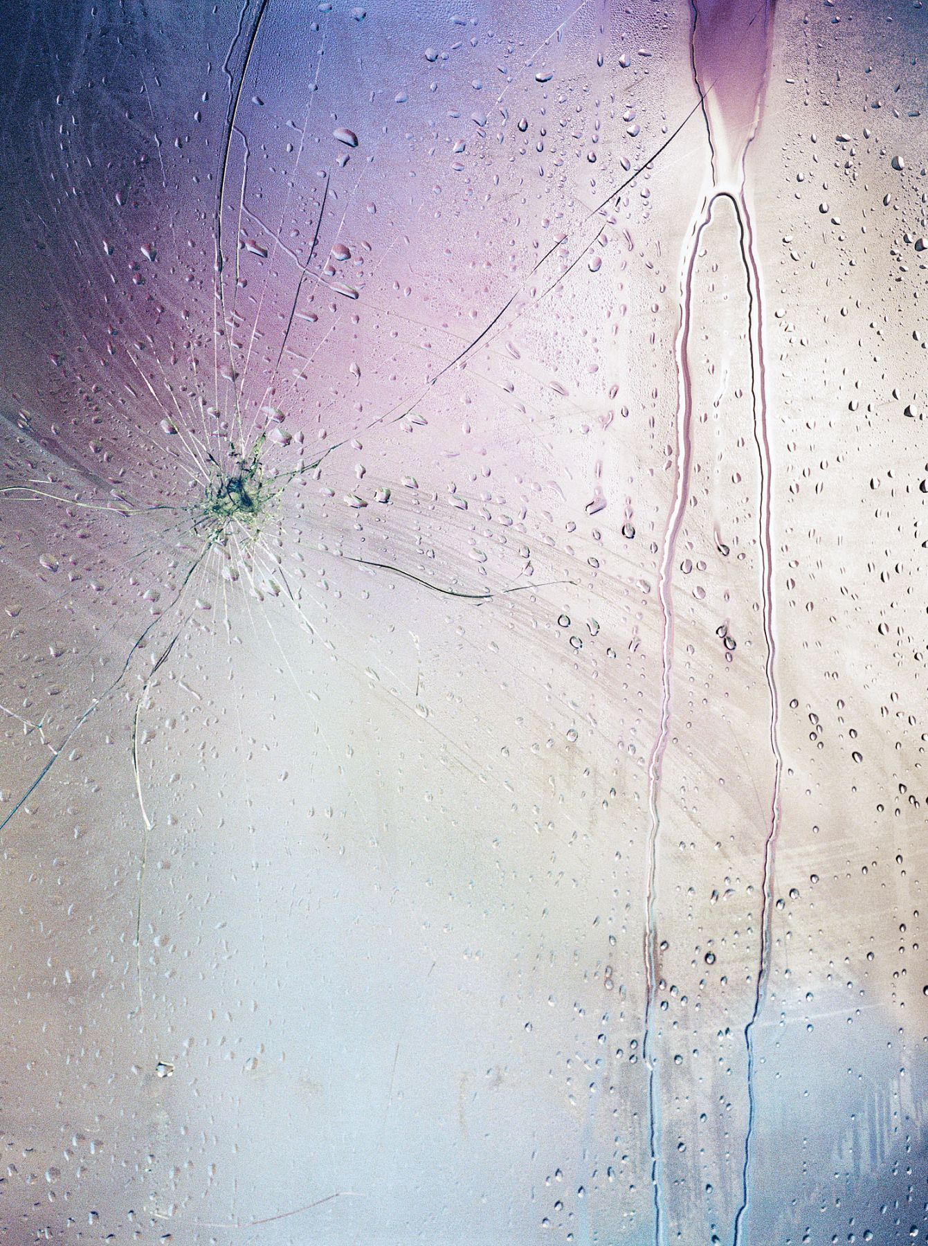 Marilyn Minter, Twilight