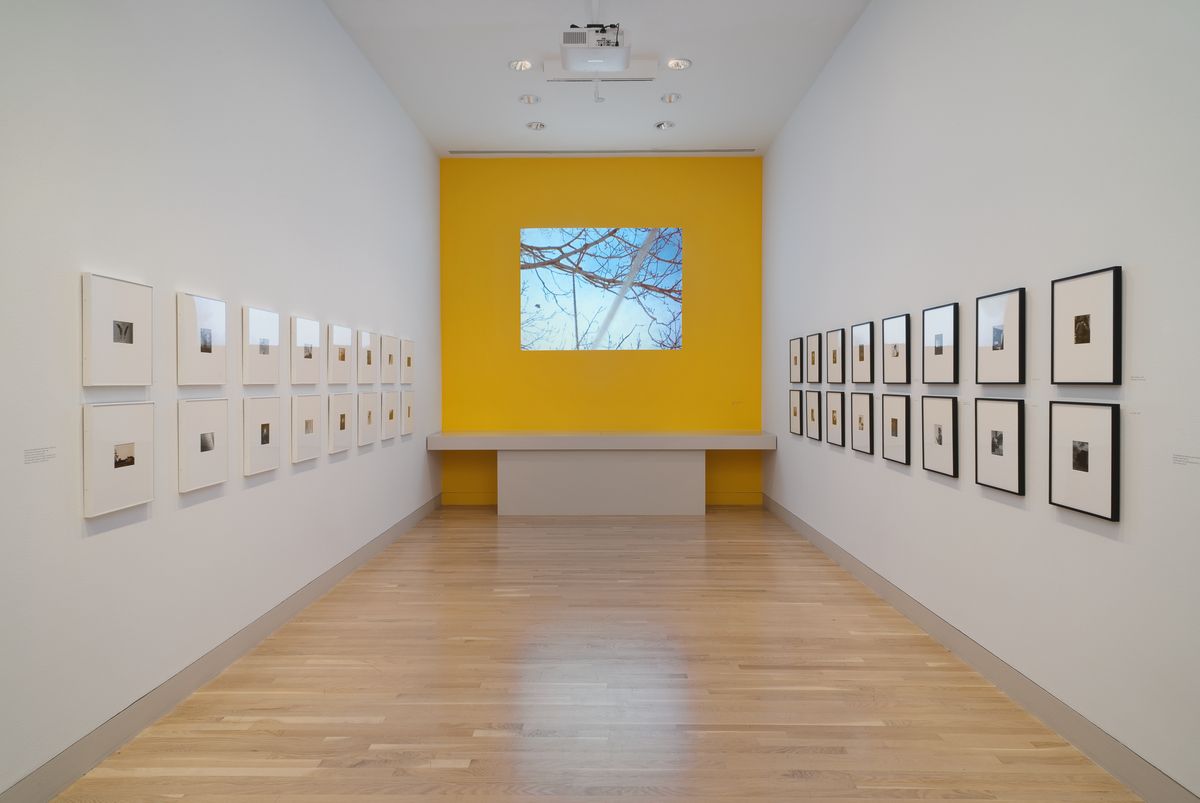 James Welling Hammer Museum