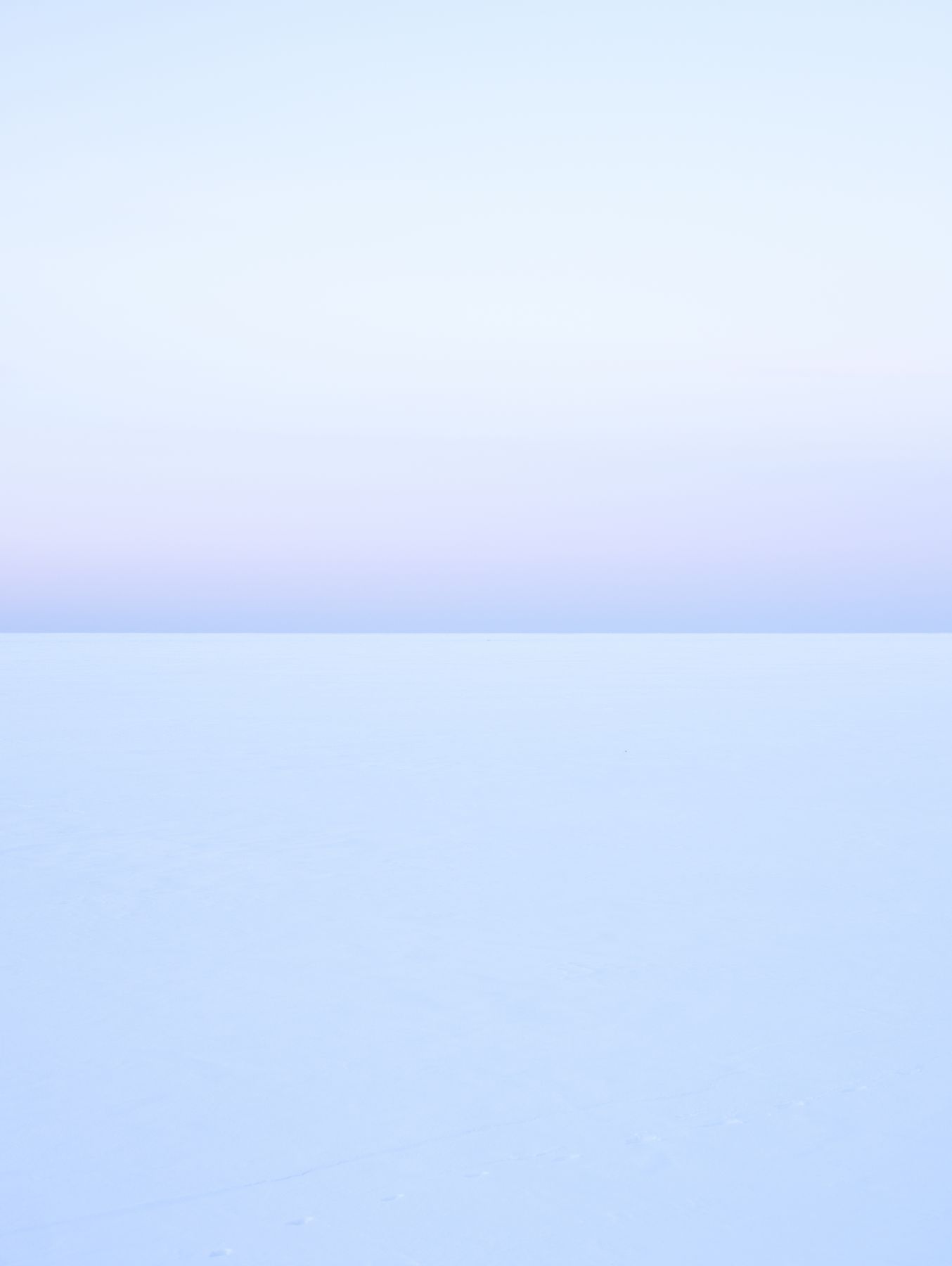 Catherine Opie, Untitled #8