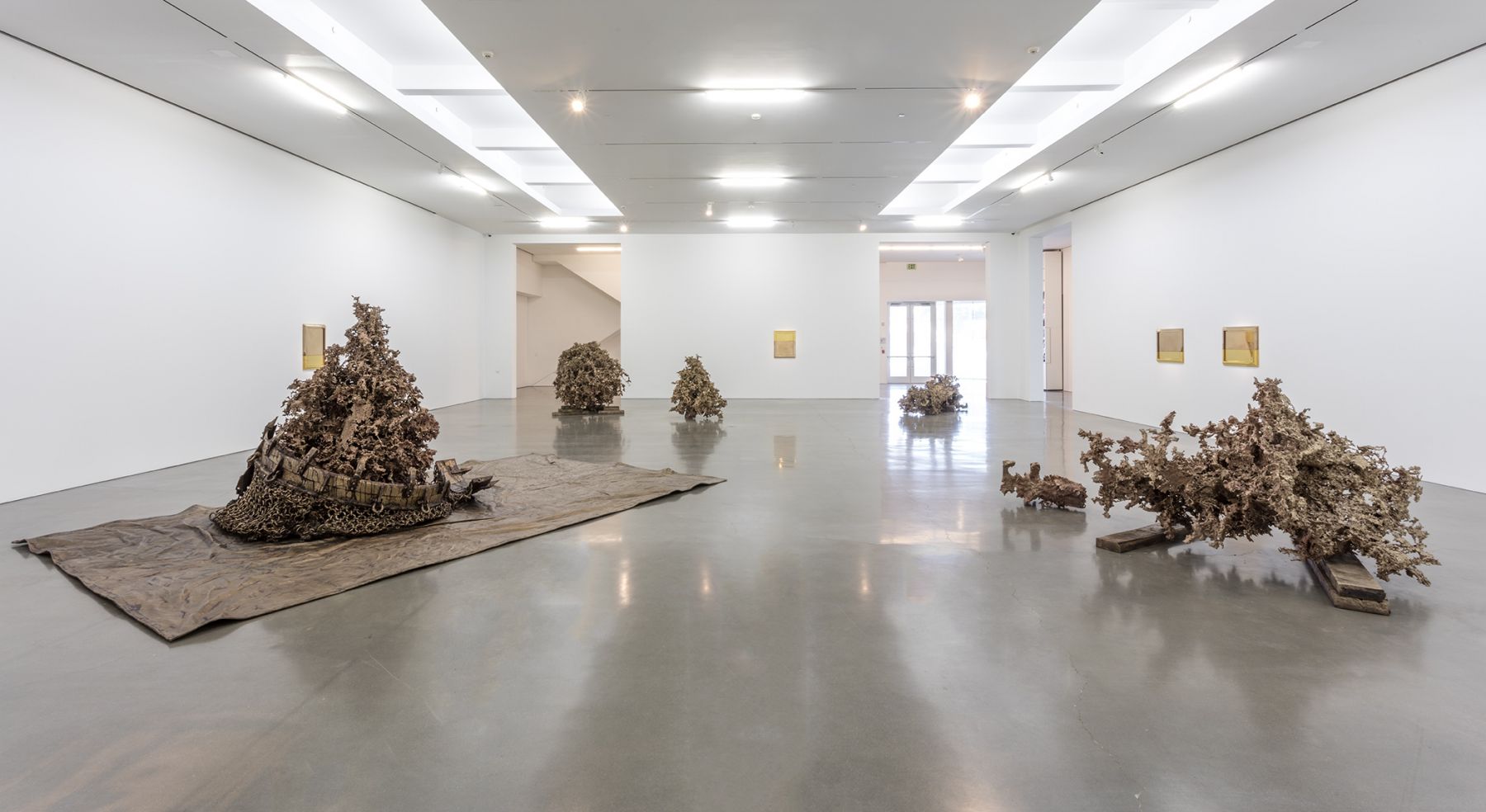 Matthew Barney
