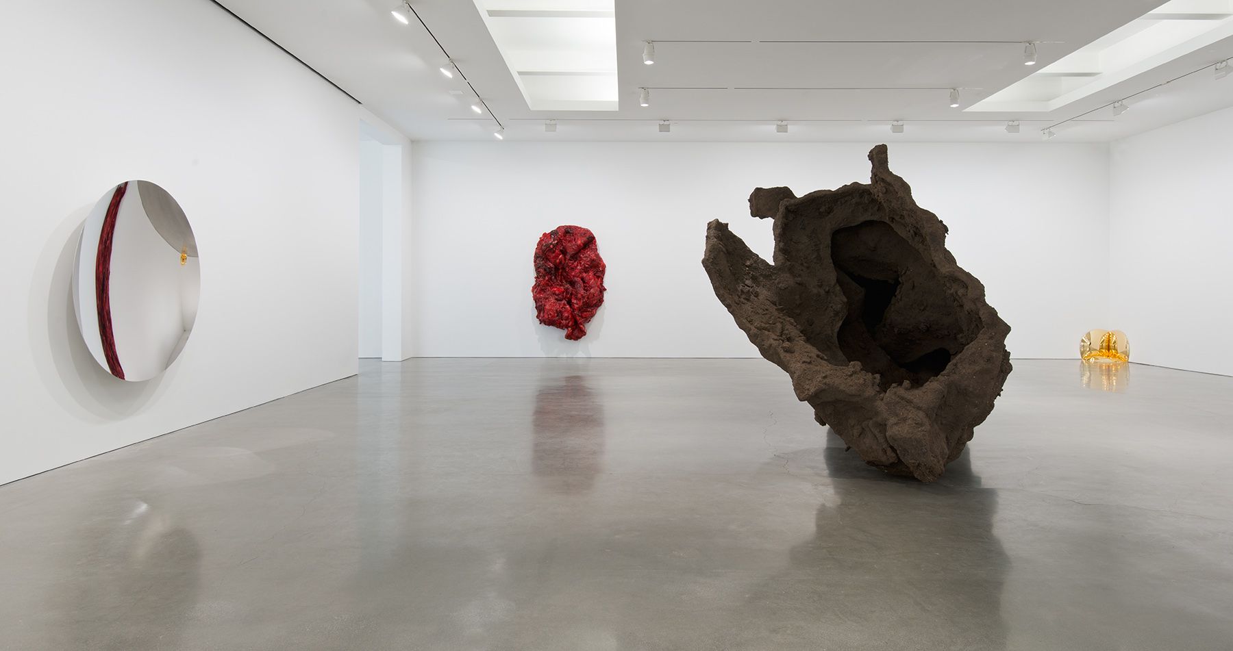 Anish Kapoor