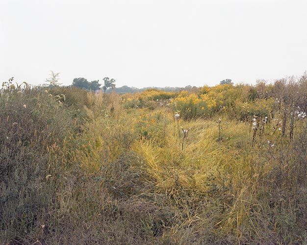Joel Sternfeld September 27, 2006, â¨The East Meadows, Northampton, Massachusetts