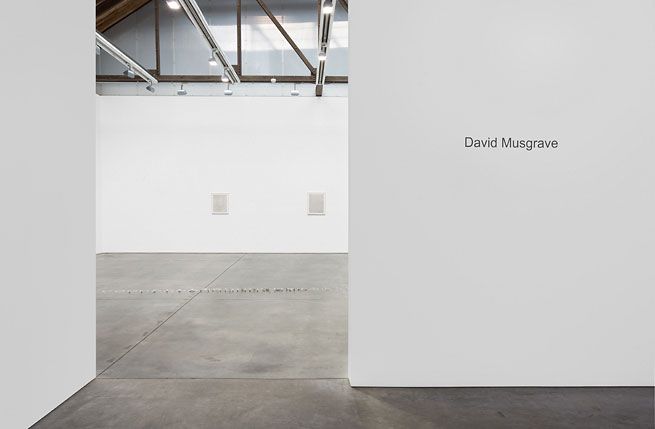 David Musgrave Installation view