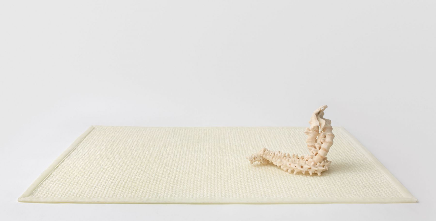 Janine Antoni to twine, 2015 