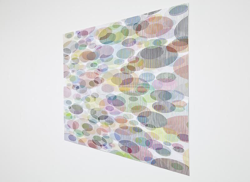 Tom Friedman, Untitled (lily pads), 2012