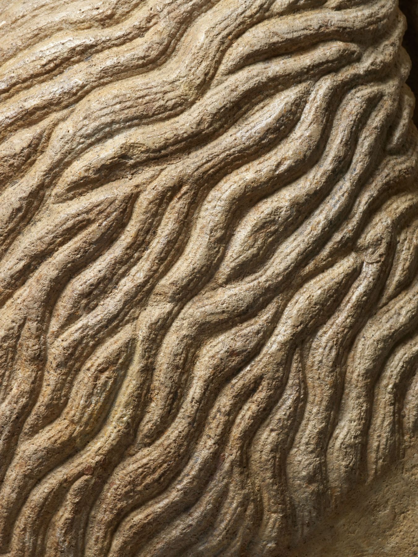 A seated lion (detail), Apulia, Southern Italy