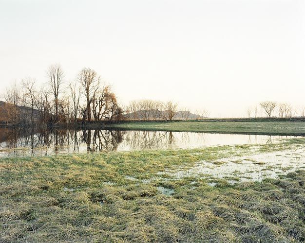 Joel Sternfeld April 20, 2007, The East Meadows, Northampton, Massachusetts