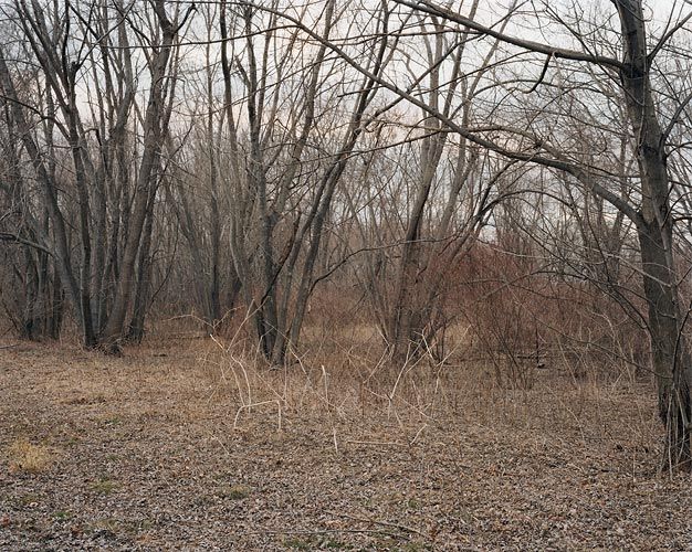 Joel Sternfeld March 30, 2006, The East Meadows, Northampton, Massachusetts
